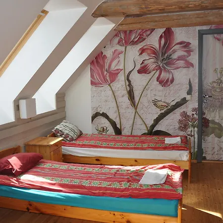 Prázdninový dům Kivi Holiday House Kauda
