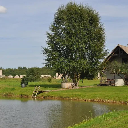 Prázdninový dům Kivi Holiday House